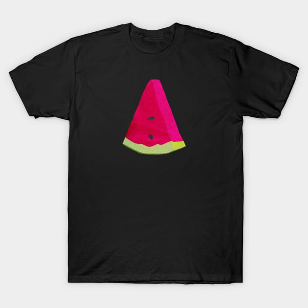 Watermelon T-Shirt by ElviaMontemayor